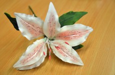 sockerblommor1